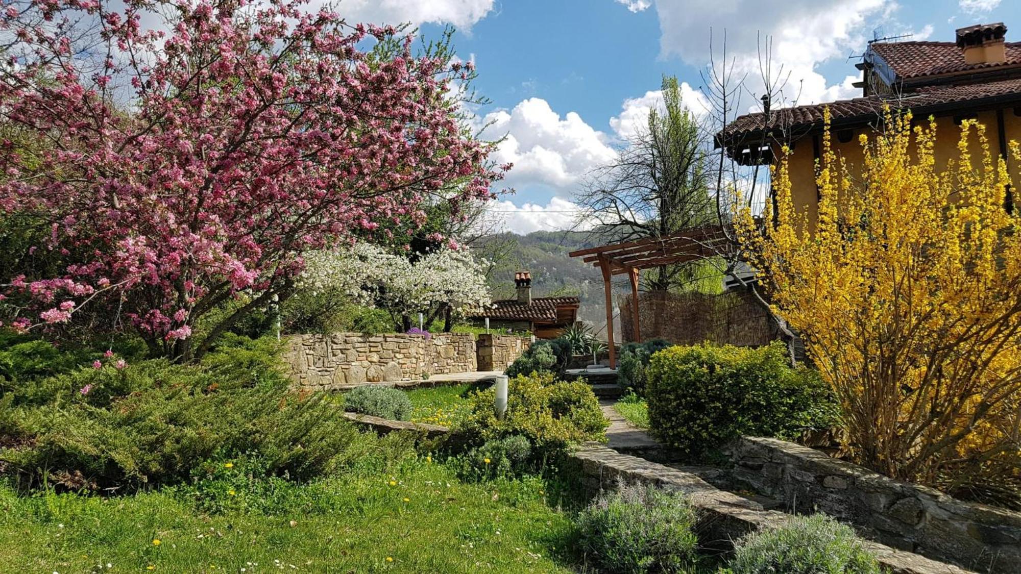 Agriturismo Fattoria Ca Di Sole San Benedetto Val di Sambro Екстер'єр фото